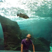 ���������� �����-���������, ���� ������� �����, 36 ���, ������������ ��� ������, ����� � ���������, c�������� ���������, ���������