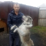 ���������� �����������, ���� ������� �������, 41 ���, ������������ ��� ������, ����� � ���������, c�������� ���������, ���������