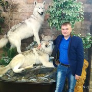 ���������� ������, ���� ������� �����, 37 ���, ������������ ��� ������