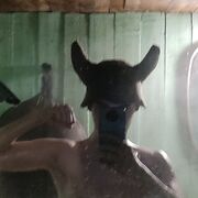  ,   , 26 ,   ,   , c 