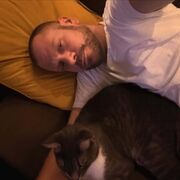 ���������� ���, ���� ������� ����, 36 ���, ������������ ��� ������, ����� � ���������, c�������� ���������, ���������