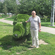  -,   , 55 ,   ,   , c 
