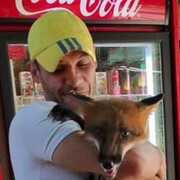 ���������� ���������, ���� ������� ������, 43 ����, ������������ ��� ������, ����� � ���������, c�������� ���������