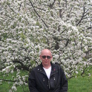 ���������� ���������, ���� ������� �����, 49 ���, ������������ ��� ������