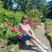 ���������� �����������, ���� ������� ����, 49 ���, ������������ ��� c�������� ���������, ���������