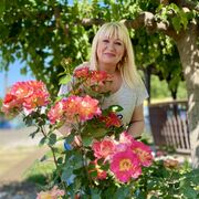 ���������� ��������, ���� ������� ����, 55 ���, ������������ 