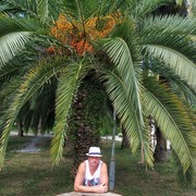 ���������� ������, ���� ������� ������, 51 ���, ������������ ��� ������, ����� � ���������, c�������� ���������