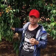 ���������� �����-���������, ���� ������� ����, 28 ���, ������������ ��� ����� � ���������, c�������� ���������