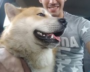 ���������� ���������, ���� ������� ���������, 34 ����, ������������ ��� ������, ����� � ���������, c�������� ���������