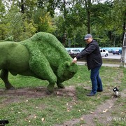 ���������� ������, ���� ������� ���������, 40 ���, ������������ ��� ����� � ���������, c�������� ���������