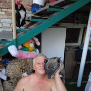  ,   , 65 ,   