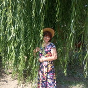 ���������� ������, ���� ������� ������, 49 ���, ������������ ��� ������, ����� � ���������, c�������� ���������