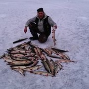  ,   , 53 ,   