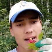 ���������� �����, ���� ����� Dilmurod, 25 ���, ������������ ��� ������, ����� � ���������