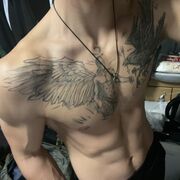 ���������� ������, ���� ����� ��������, 24 ����, ������������ ��� ������, ����� � ���������