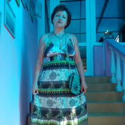 ���������� ����������, ���� ������� ������, 65 ���, ������������ ��� c�������� ���������