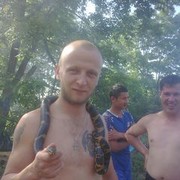  ,   , 41 ,     , c 