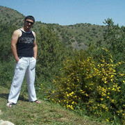  ,   Prince0007, 80 ,   ,   , c 