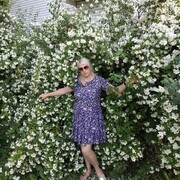 ���������� ��������, ���� ������� ����, 51 ���, ������������ ��� ������, ����� � ���������