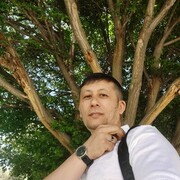  ,   , 43 ,   ,   , 