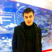 ���������� ������, ���� ������� ������, 38 ���, ������������ ��� ������, ����� � ���������, c�������� ���������