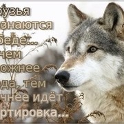  ,   Mainem iz, 37 ,   ,   , c 