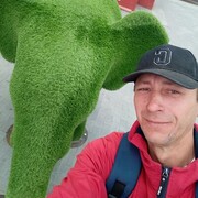 ���������� �����������, ������� ���������, 36