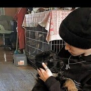 ���������� ������, ���� ������� �����, 20 ���, ������������ ��� ����� � ���������, c�������� ���������, ���������