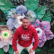  -,   , 55 ,   ,   , c 