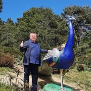 ���������� �����, ���� ������� ����, 54 ����, ������������ ��� ������, ����� � ���������