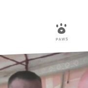 ���������� ����, ���� ������� �����, 29 ���, ������������ ��� ������, ����� � ���������