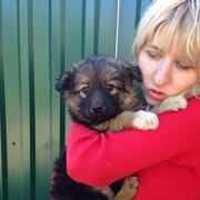 ���������� ��������, ���� ������� ˨���, 37 ���, ������������ ��� ������, ����� � ���������, ���������