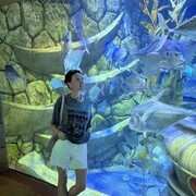 ���������� �����, ���� ������� �����, 46 ���, ������������ ��� ����� � ���������, c�������� ���������