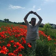  ,   , 62 ,   ,   