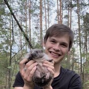 ���������� ������ ��������, ���� ������� �������, 26 ���, ������������ ��� c�������� ���������