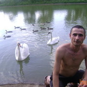 ���������� ������, ���� ������� �����, 39 ���, ������������ ��� ������, ����� � ���������, c�������� ���������