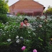 ���������� ������������, ���� ������� ������, 62 ����, ������������ ��� ������, ����� � ���������, c�������� ���������