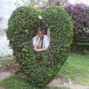 ���������� �������, ���� ������� ���������, 55 ���, ������������ ��� ������