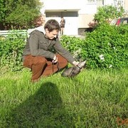 ���������� �����-���������, ���� ������� ����, 44 ����, ������������ ��� ������