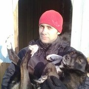  ,   , 37 ,   , 