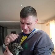 ���������� ���������, ���� ������� ������, 44 ����, ������������ ��� ������, ����� � ���������, c�������� ���������, ���������