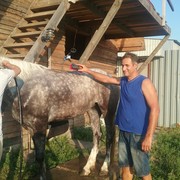 ���������� ������-��-����, ���� ������� ����, 50 ���, ������������ 