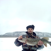  ,  bogdan, 36