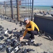 ���������� ����, ���� ������� �������, 44 ����, ������������ ��� ������, ����� � ���������