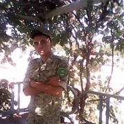  Midlum,  , 31