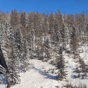 ���������� �����������-��-�����, ���� ����� ������, 22 ����, ������������ ��� ������, ����� � ���������, c�������� ���������