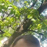  ,  , 27