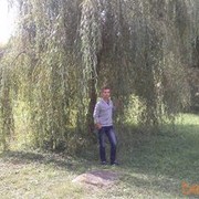 ���������� �����, ���� ������� ����, 36 ���, ������������ ��� ������, ����� � ���������, c�������� ���������