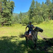 ���������� �����������, ���� ������� �����, 45 ���, ������������ ��� ������, ����� � ���������