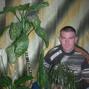  ,   , 38 ,   